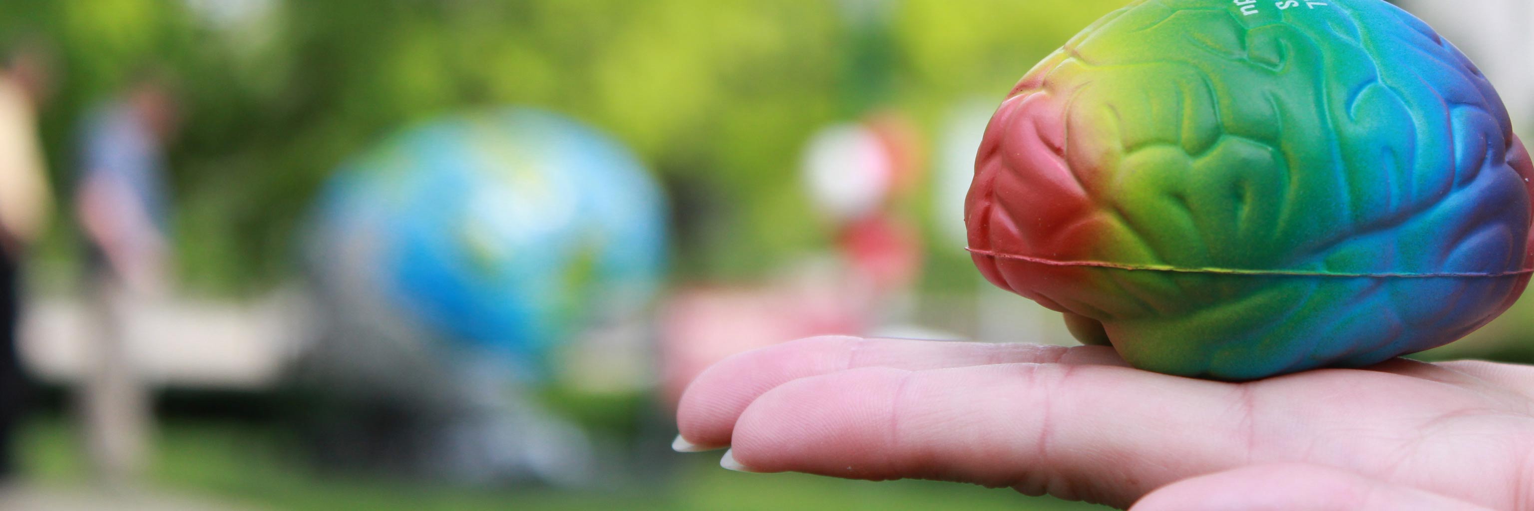 hand holding a stress ball the size of a small brain