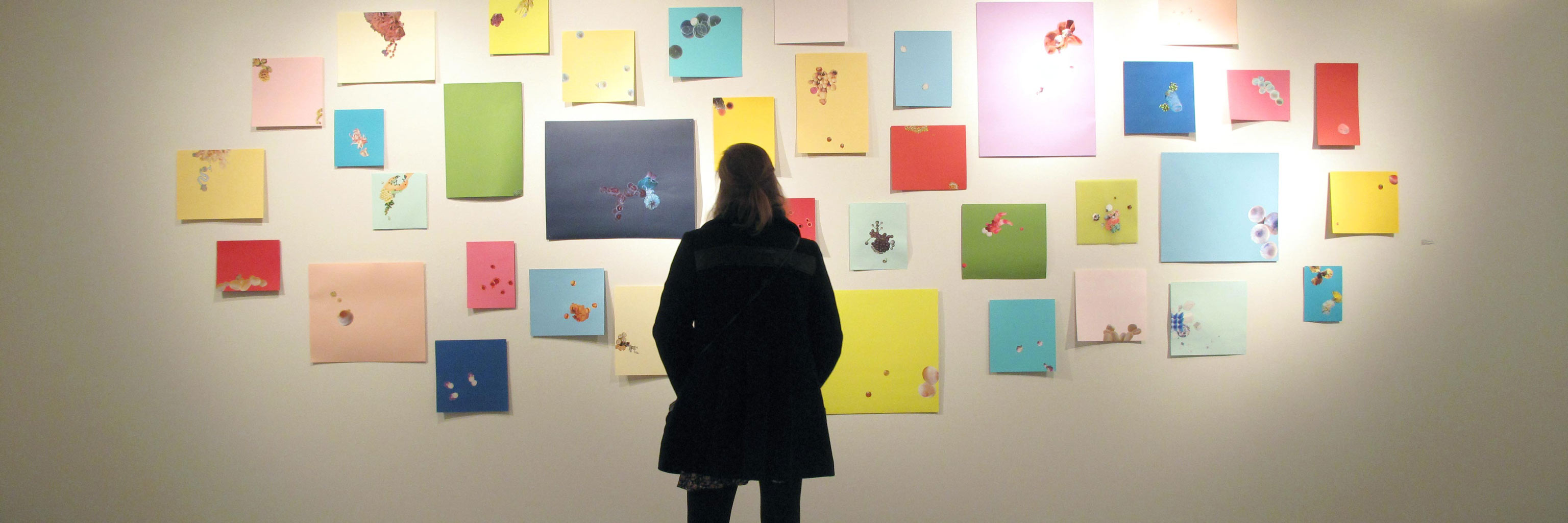 woman looking at pictures posted to a wall